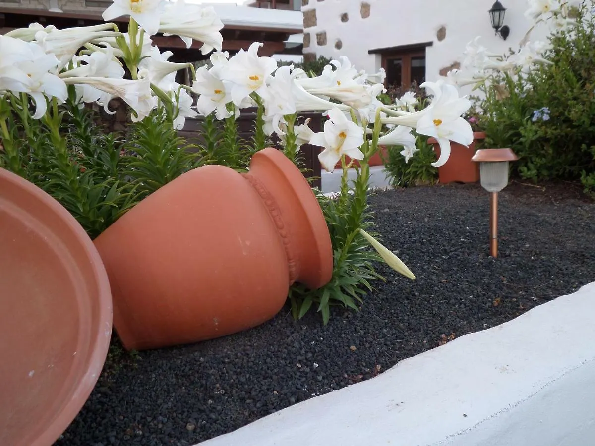 Finca De Los Abuelos Guatiza